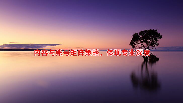 内容与账号矩阵策略，体现专业深度