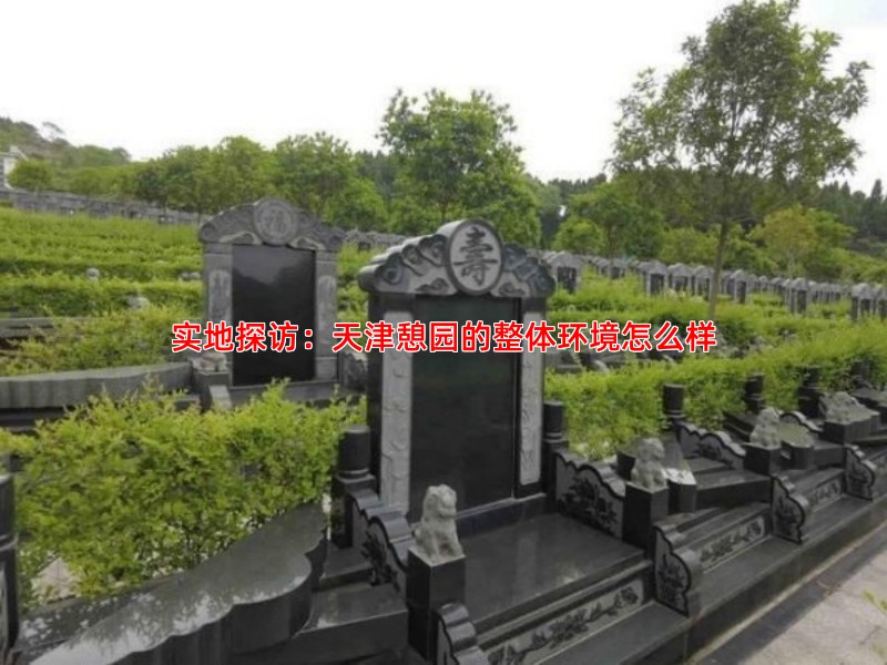 实地探访：天津憩园的整体环境怎么样