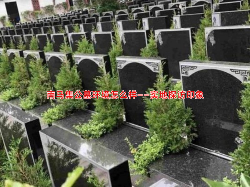 南马集公墓环境怎么样——实地探访印象