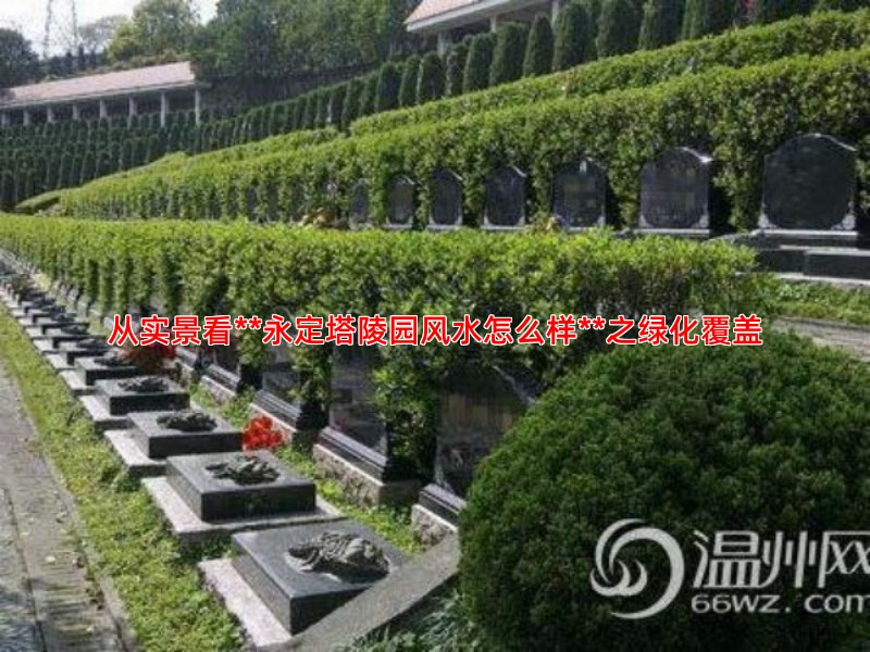 从实景看**永定塔陵园风水怎么样**之绿化覆盖