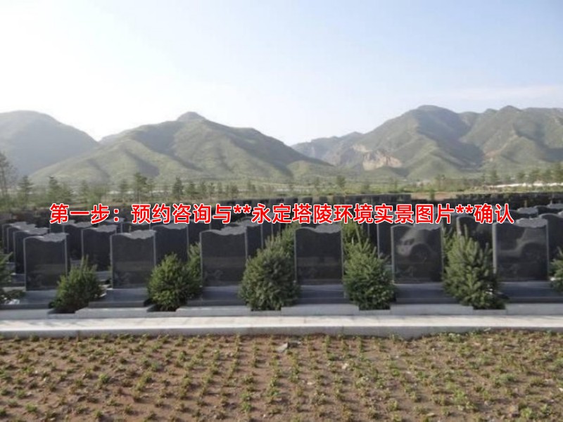 步：预约咨询与**永定塔陵环境实景图片**确认