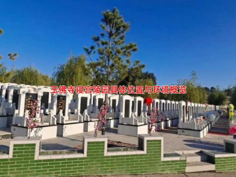 玉佛寺寝宫陵园具体位置与环境概览