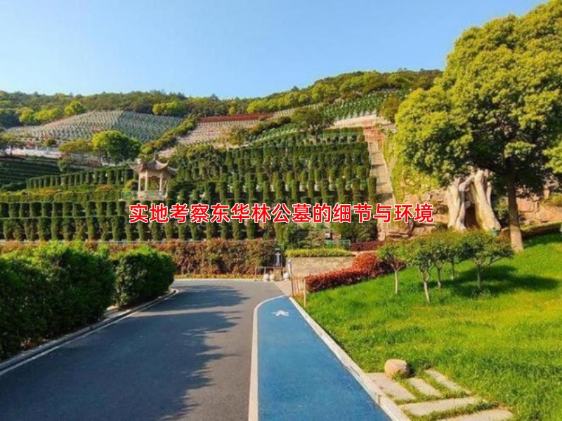 实地考察东华林公墓的细节与环境