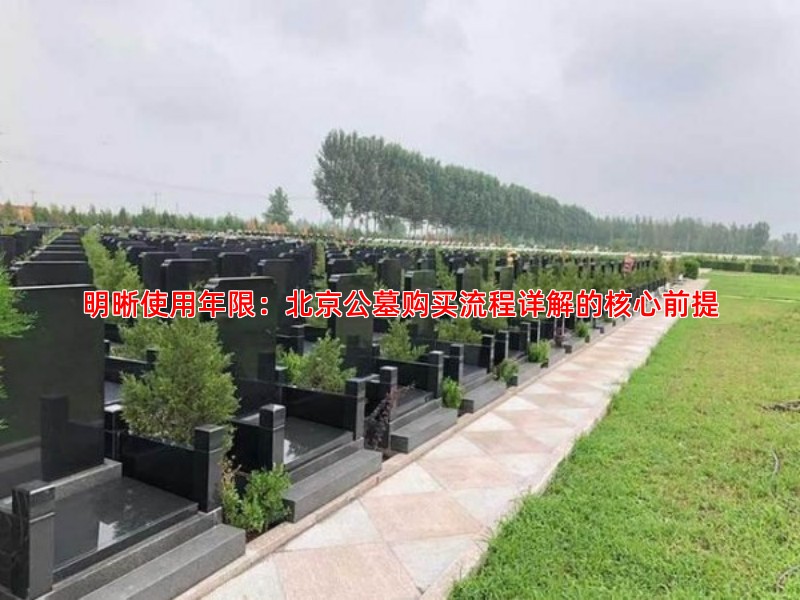明晰使用年限：北京公墓购买流程详解的核心前提