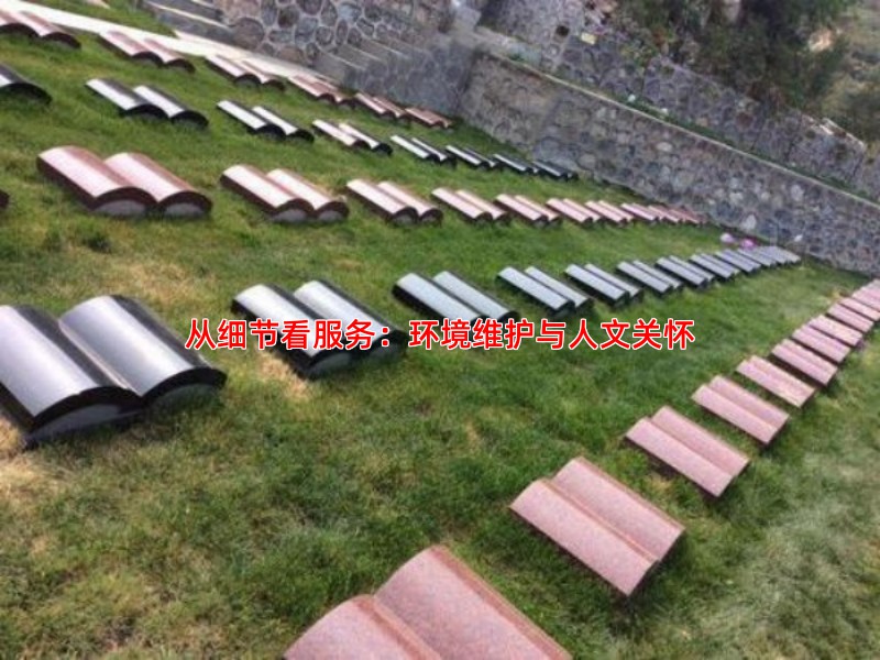从细节看服务：环境维护与人文关怀