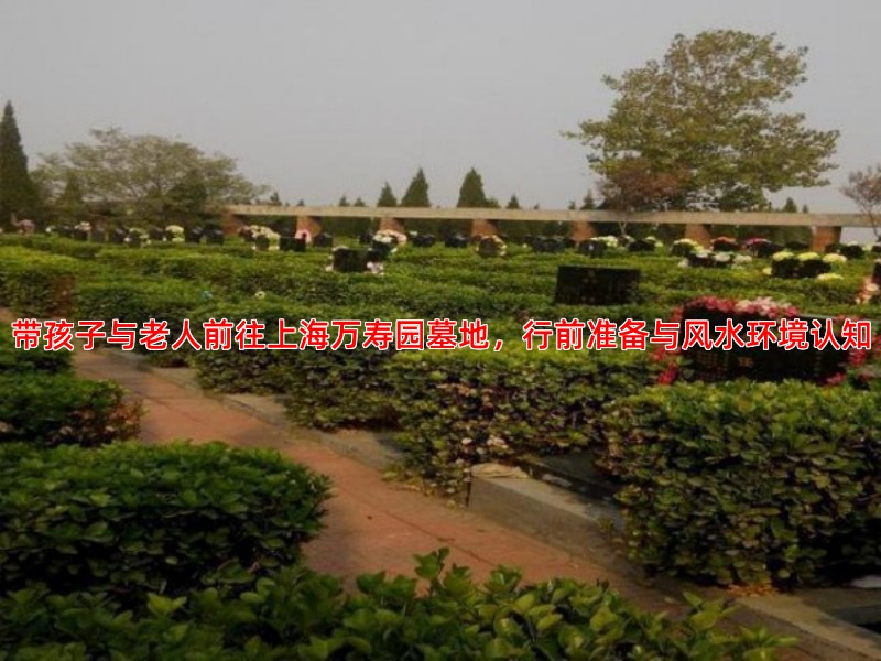 带孩子与老人前往上海万寿园墓地，行前准备与风水环境认知