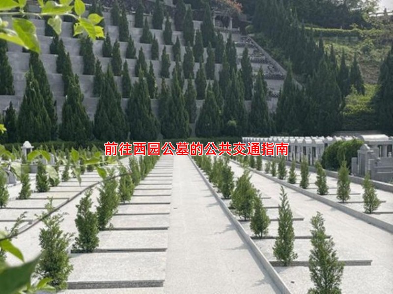 前往西园公墓的公共交通指南