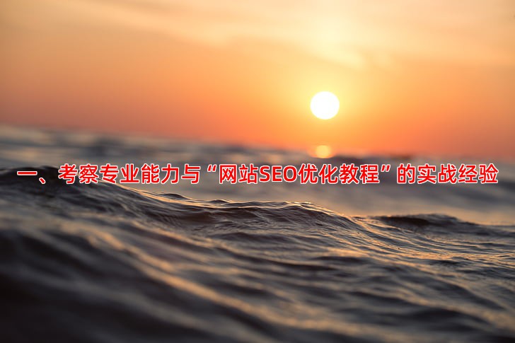 一、考察专业能力与“网站SEO优化教程”的实战经验