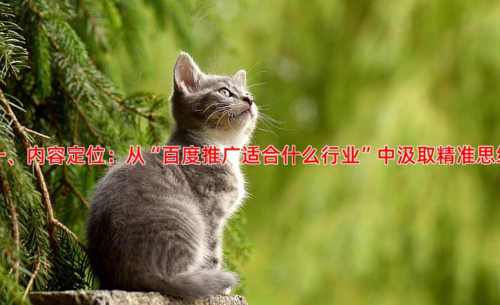 抖音短视频推广如何做到低成本高精准获客