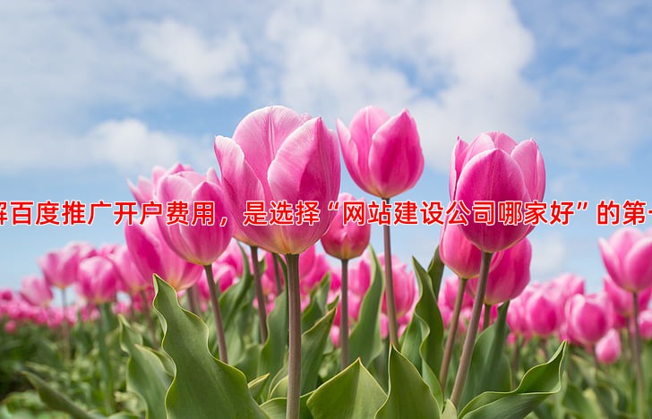 百度推广开户费用和预算如何制定适合你的推广方案