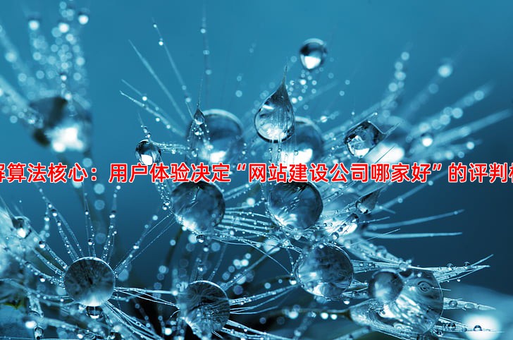 2024年搜索引擎算法更新下的SEO排名新思路