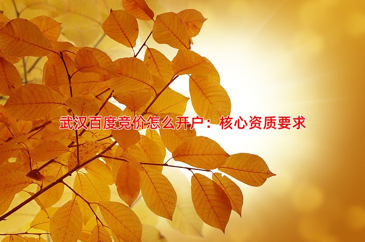 武汉公司办理百度推广开户需要什么资质
