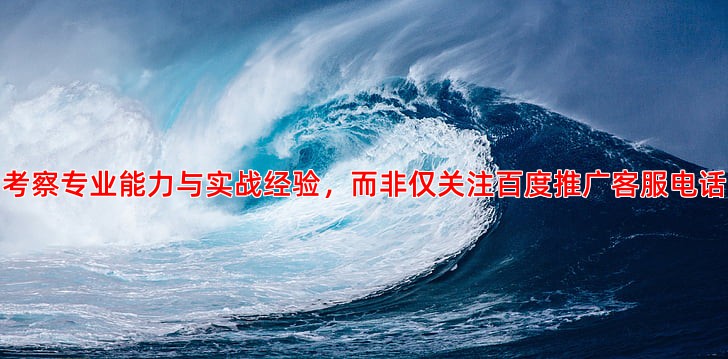 寻找专业竞价托管公司需要考察哪些关键因素