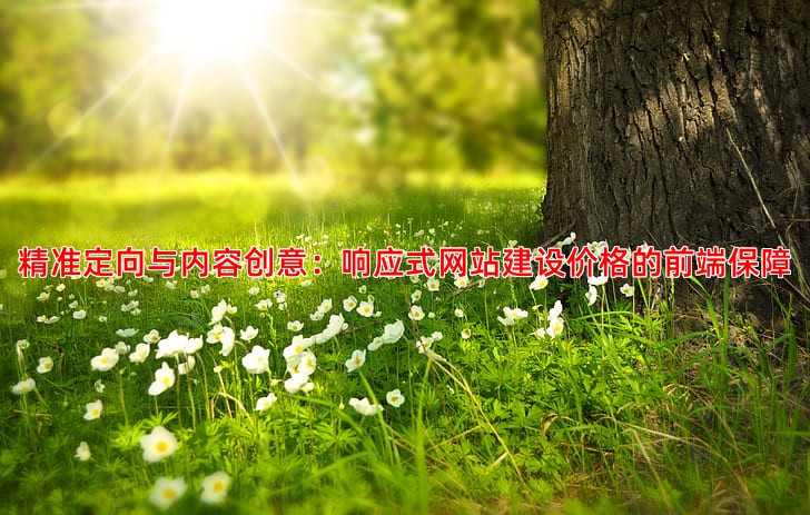 精准定向与内容创意：响应式网站建设价格的前端保障