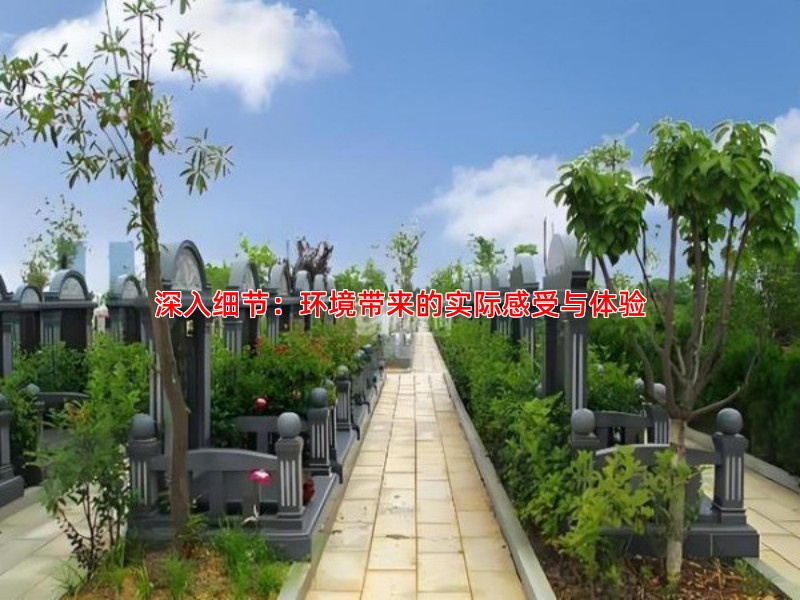 深入细节：环境带来的实际感受与体验