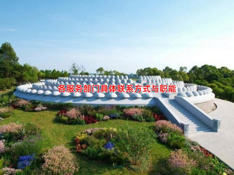 各服务部门具体联系方式与职能