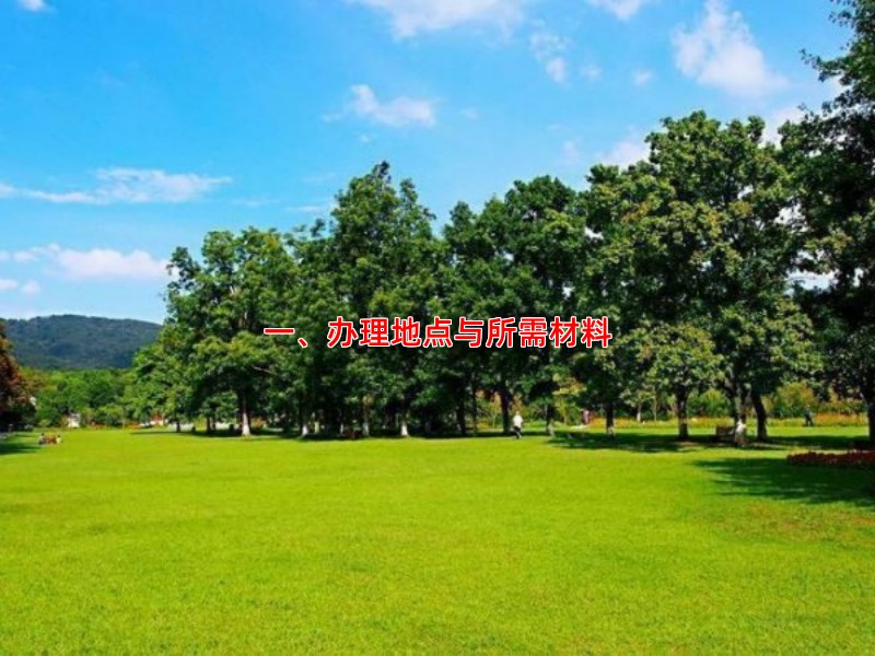 一、办理地点与所需材料