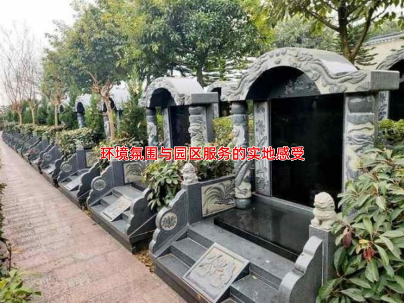 环境氛围与园区服务的实地感受