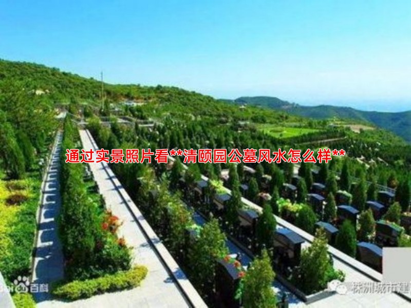 通过实景照片看**清颐园公墓风水怎么样**