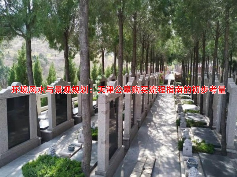 环境风水与景观规划：天津公墓购买流程指南的初步考量