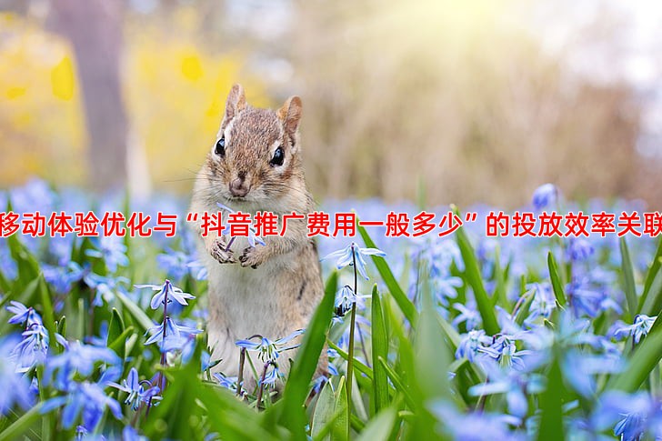 移动端友好性优化如何提升网站在手机搜索的表现