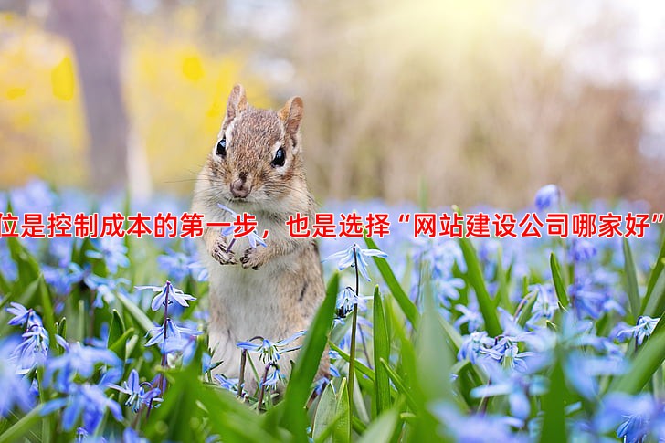 百度推广怎么操作才能有效控制成本