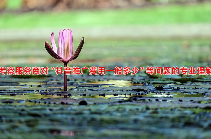 企业如何筛选出真正专业的竞价托管服务商