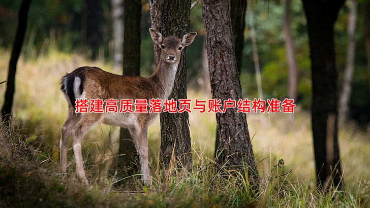 搭建高质量落地页与账户结构准备