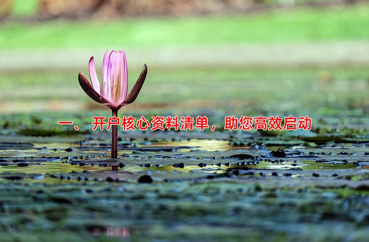 一、 开户核心资料清单，助您高效启动