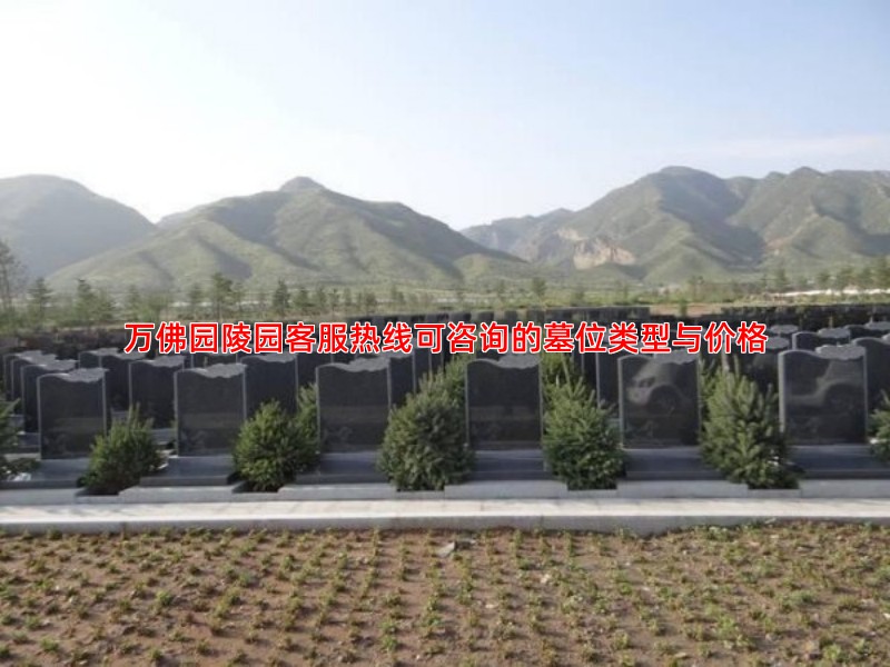万佛园陵园客服热线可咨询的墓位类型与价格