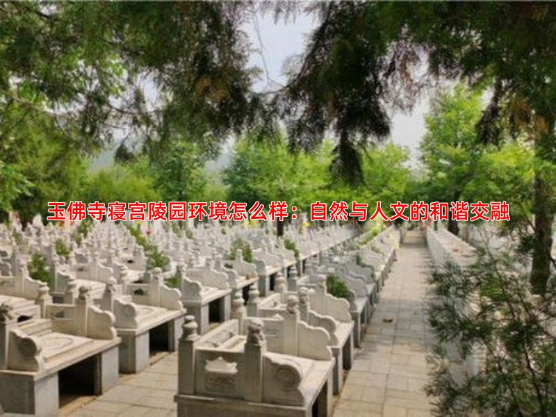 玉佛寺寝宫陵园环境怎么样：自然与人文的和谐交融