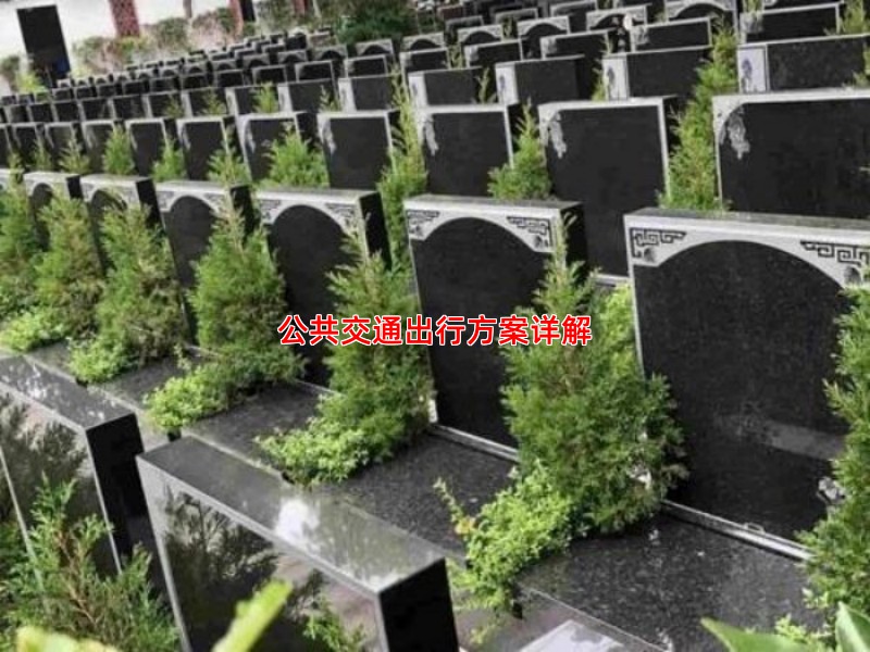 公共交通出行方案详解