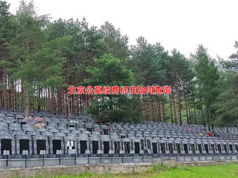北京公墓续费标准如何查询