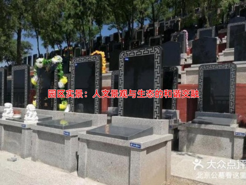园区实景：人文景观与生态的和谐交融