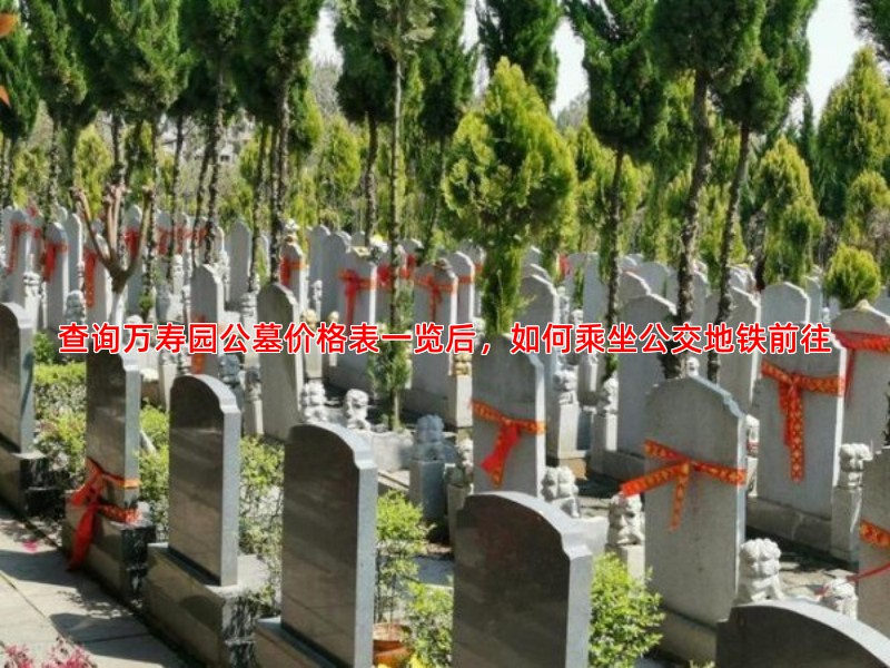 查询万寿园公墓价格表一览后，如何乘坐公交地铁前往