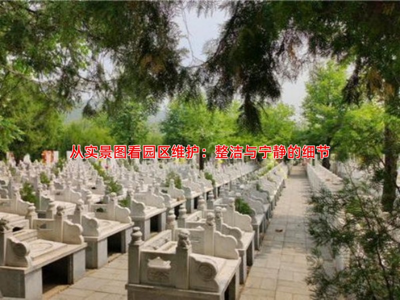 从实景图看园区维护：整洁与宁静的细节