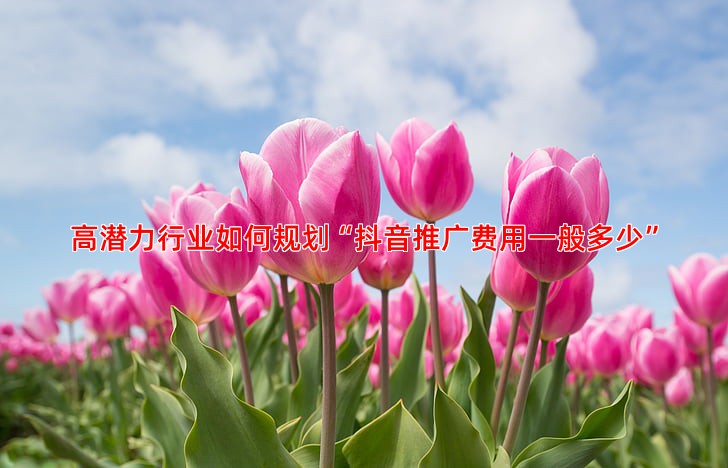 抖音推广行业选择指南哪些行业更合适