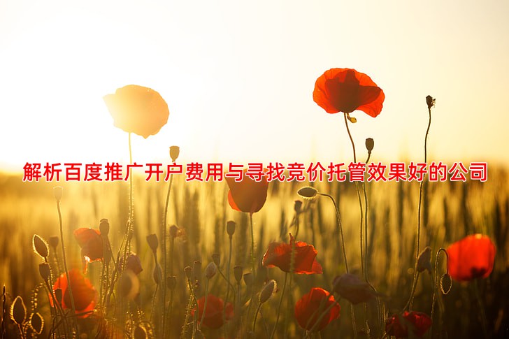 百度推广开户费用多少钱投入产出比分析