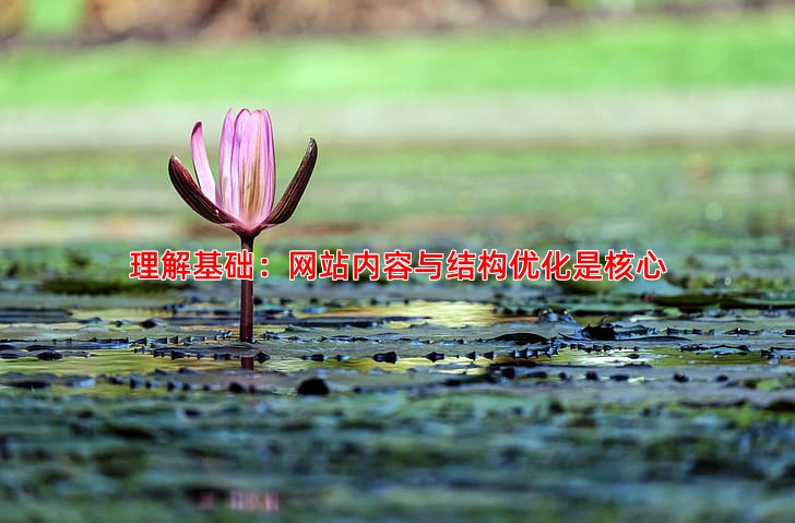 理解基础：网站内容与结构优化是核心