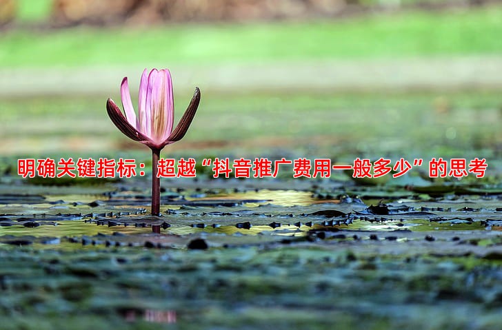 如何评估百度推广效果关键指标与优化方法