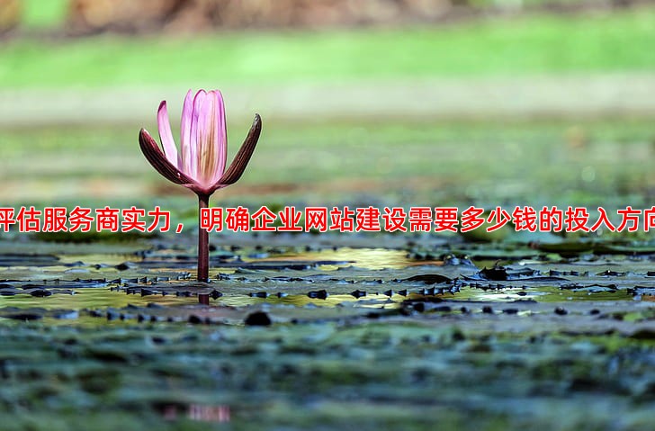 专业竞价托管服务对比哪家更值得信赖