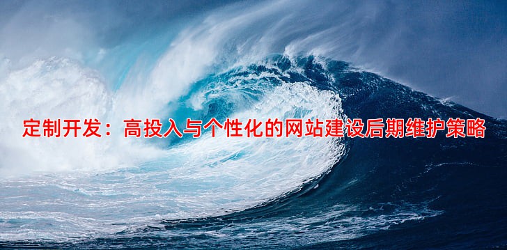 定制开发：高投入与个性化的网站建设后期维护策略