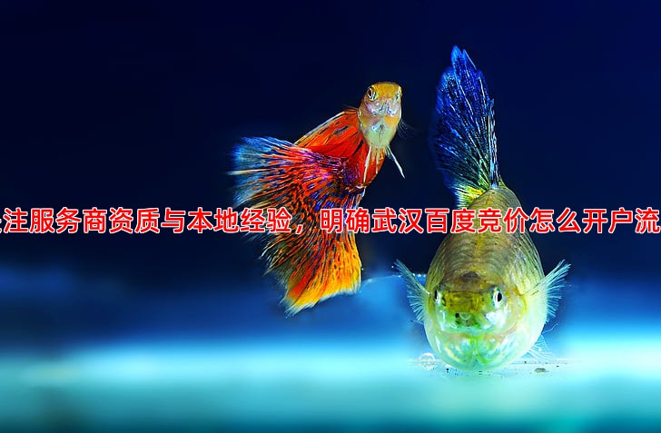 关注服务商资质与本地经验，明确武汉百度竞价怎么开户流程