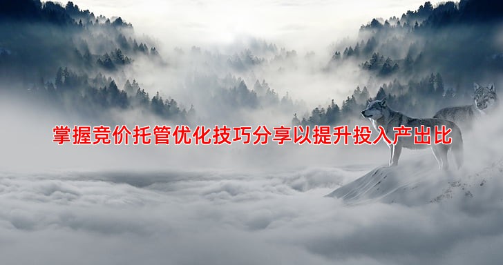掌握竞价托管优化技巧分享以提升投入产出比
