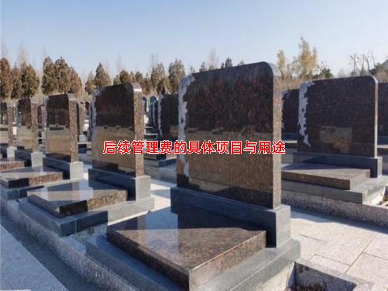 后续管理费的具体项目与用途