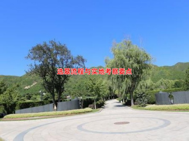 选墓流程与实地考察要点