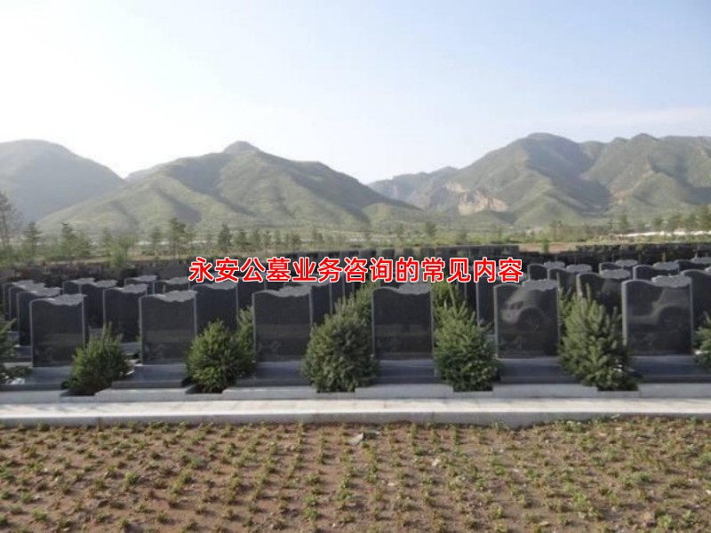 永安公墓业务咨询的常见内容