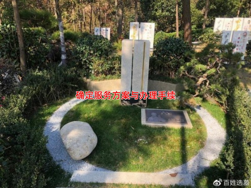 确定服务方案与办理手续