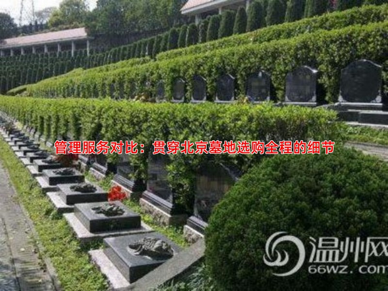 管理服务对比：贯穿北京墓地选购全程的细节