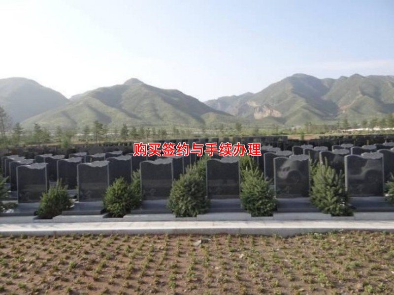 购买签约与手续办理